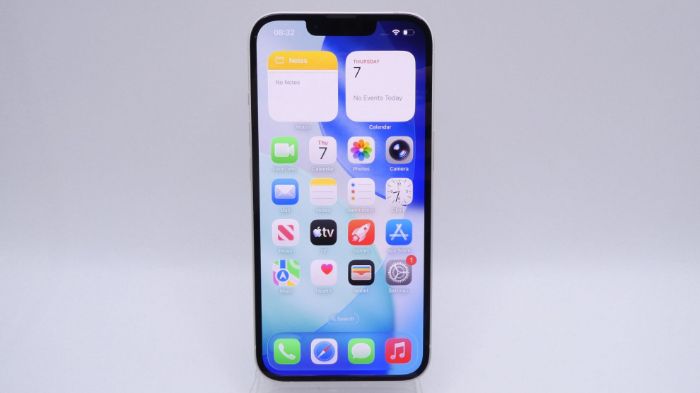 Picture of Apple iPhone 13